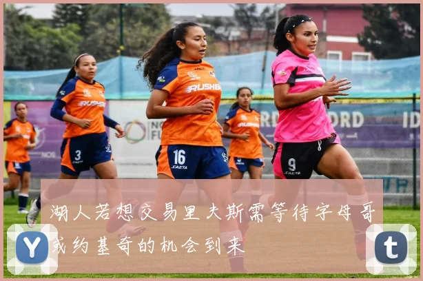 湖人若想交易里夫斯需等待字母哥或约基奇的机会到来